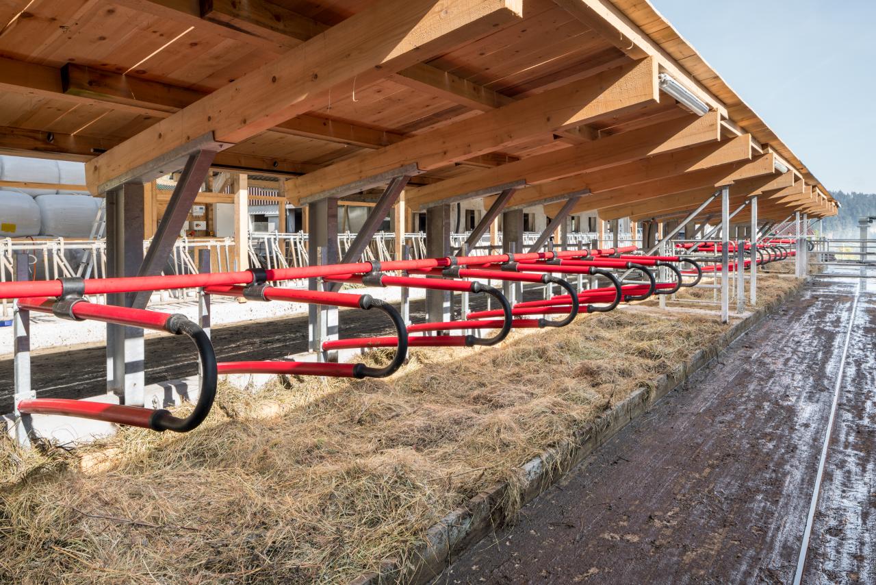 Bewegliche rote Boxenbügel