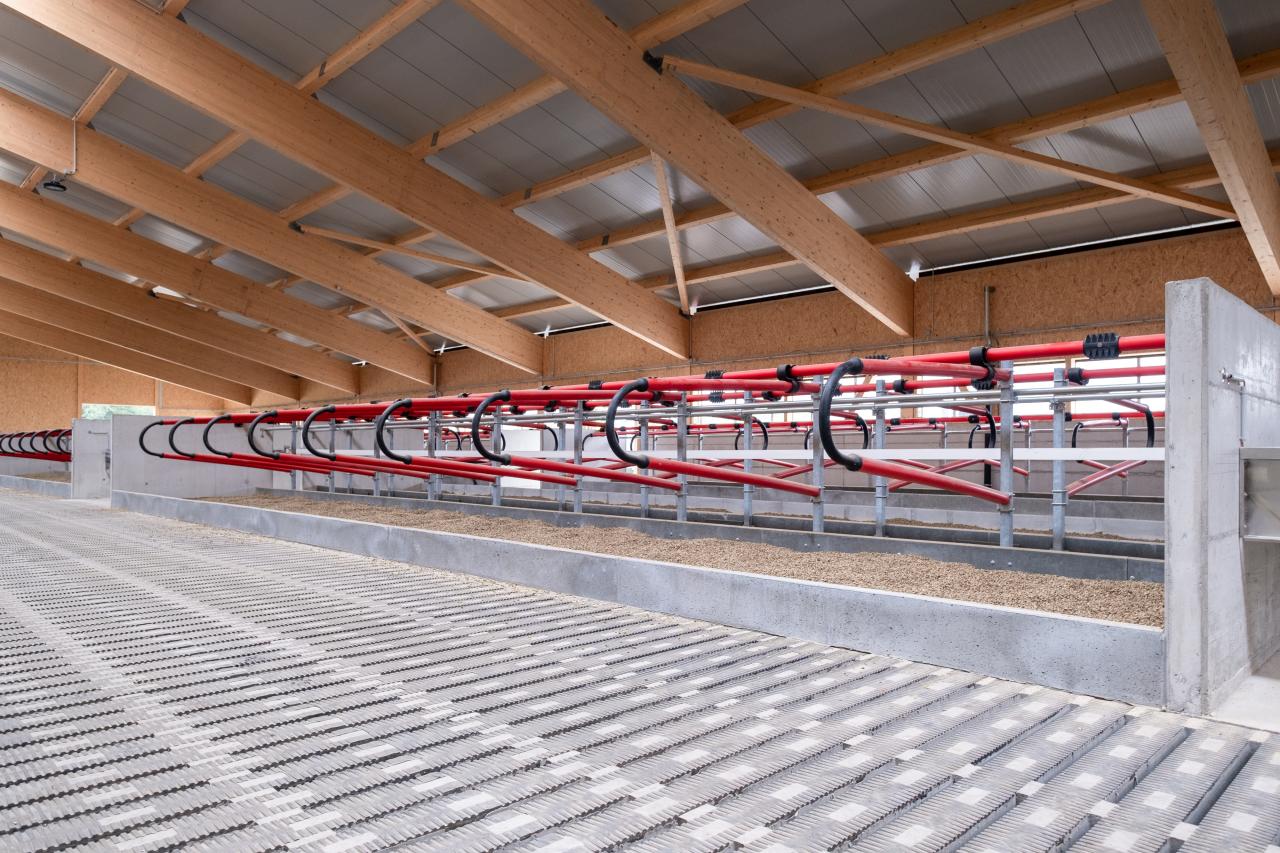 Meadowfloor in einem neuen Stall