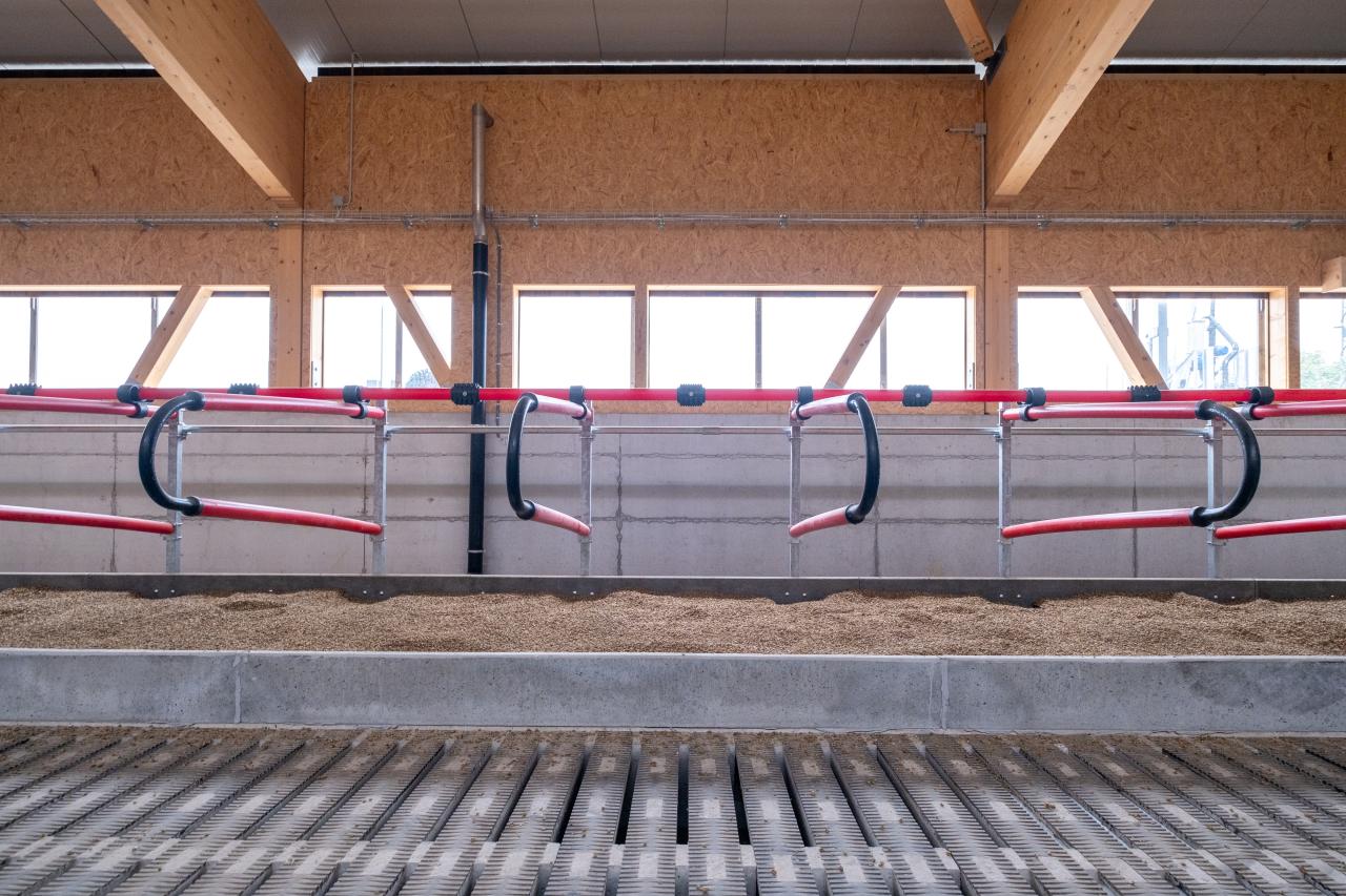 Easyfix Liegeboxen in einem neuen Stall