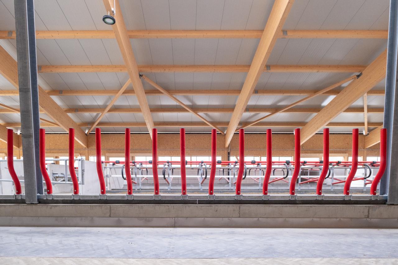 Rote Easyfix Barriers an der Fressachse