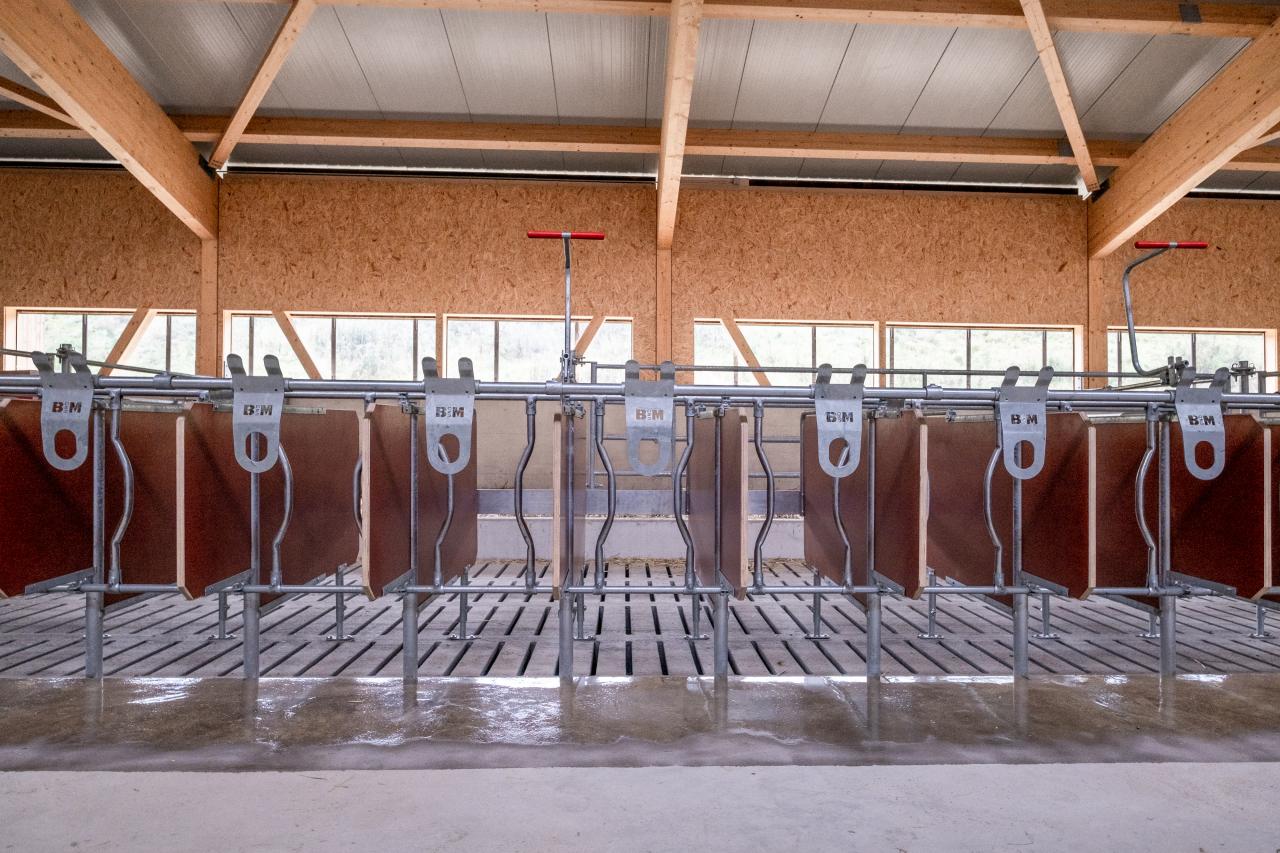 Sperrboxen für Kälber