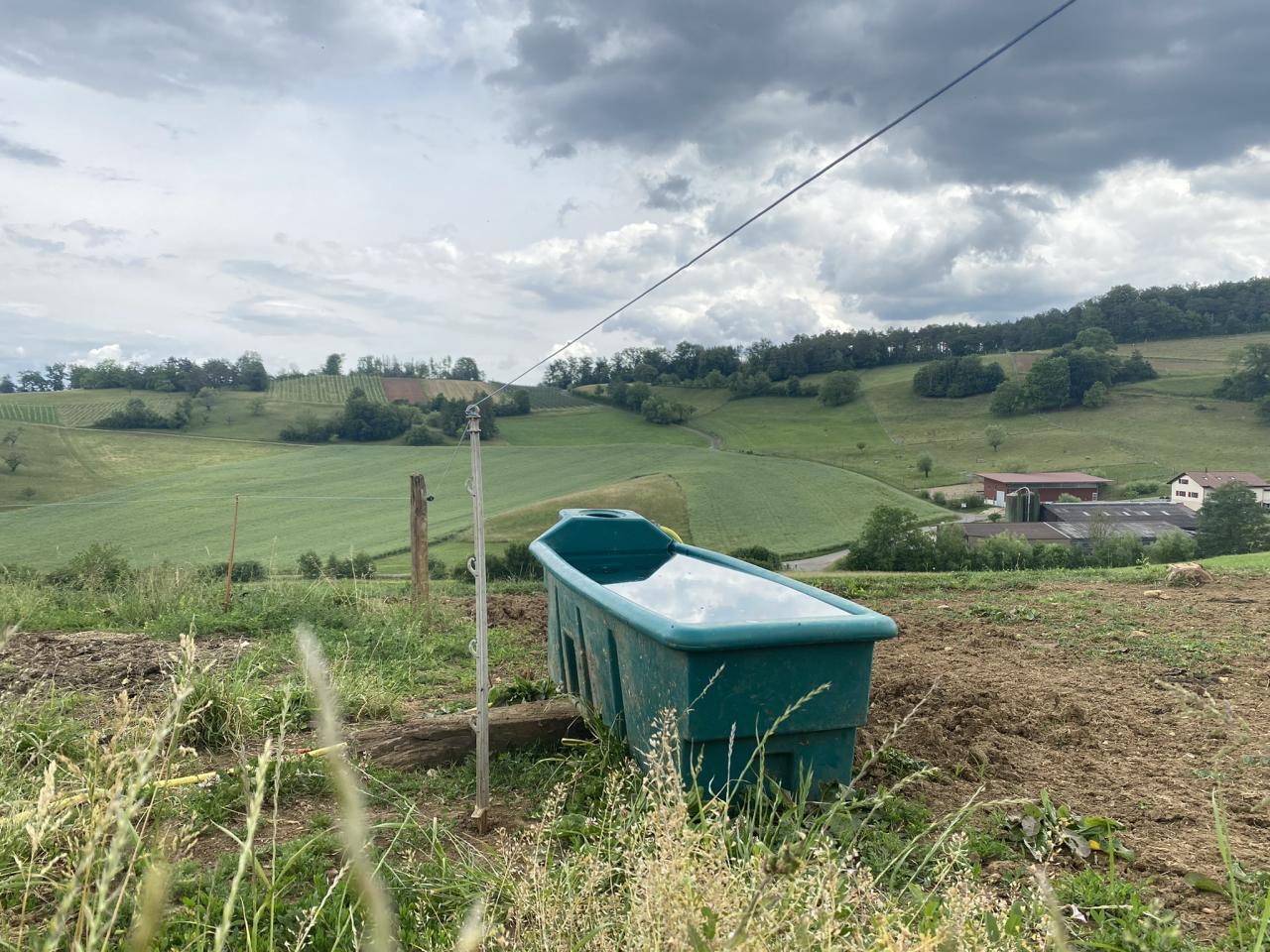 Wassertrog mit schöner Aussicht