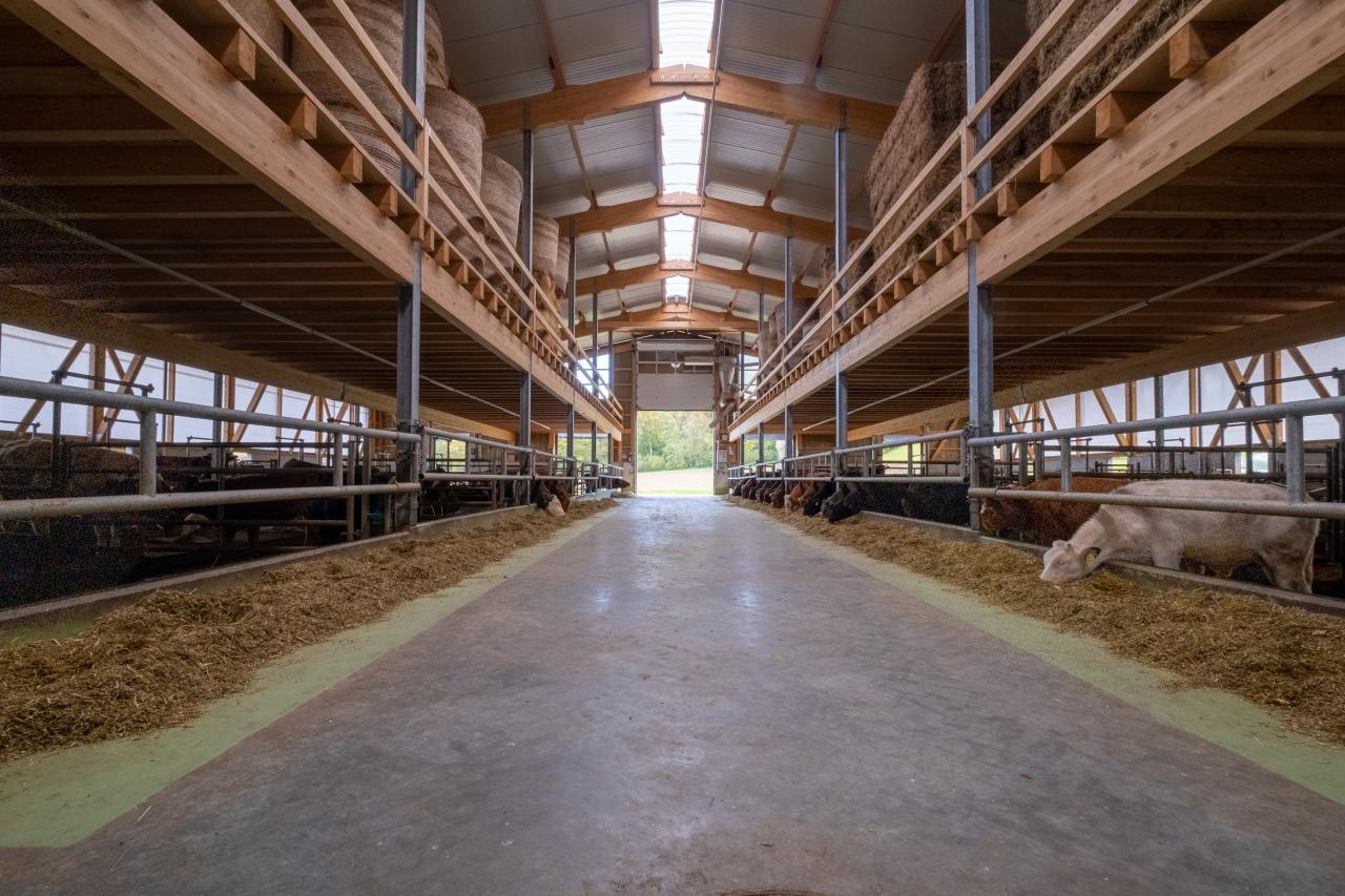 fressachse mit unterschiedelichen nackenelementen