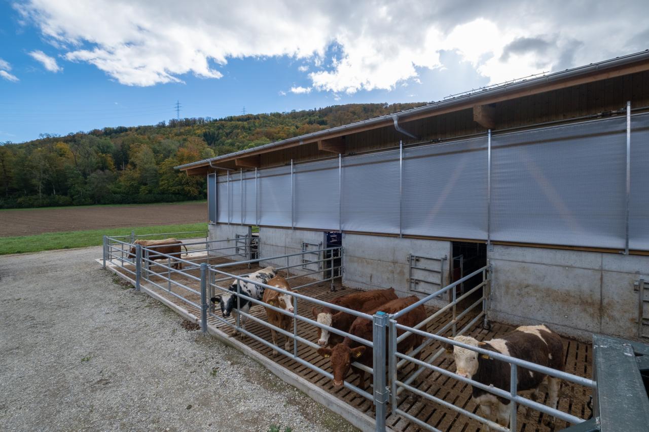 seitenlueftungssystem-oben-oeffnend