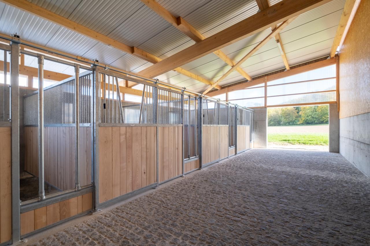 Pferdeboxen-mit-Fresszaun