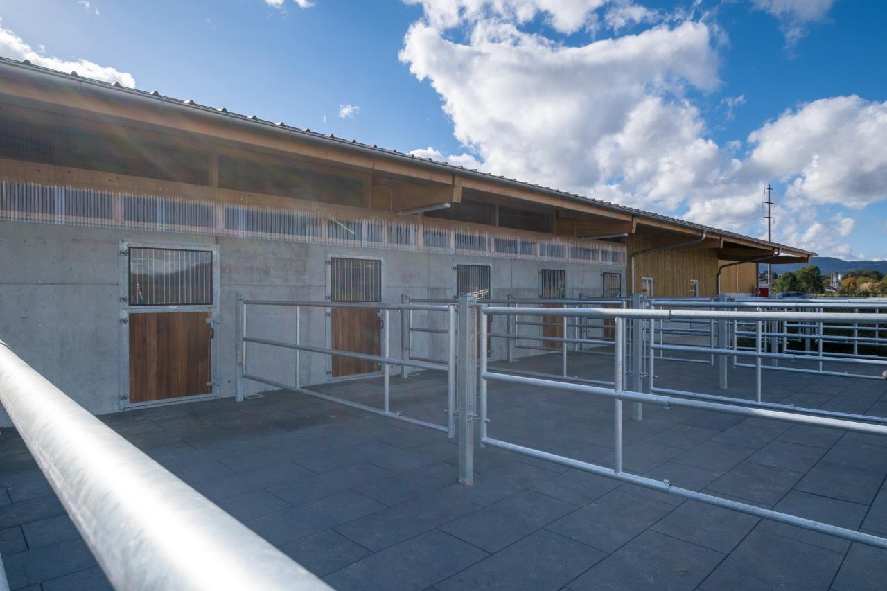 pferdeauslauf-in-dulliken frontalansicht