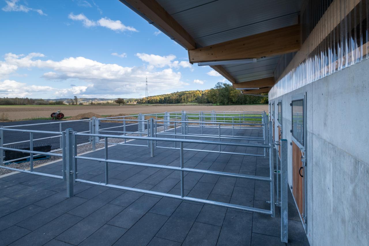 pferdeauslauf-in-dulliken