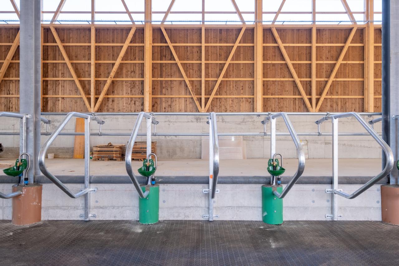 feedbox-im-stall-belser