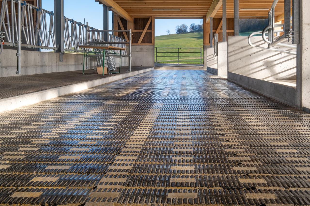 meadowfloor-in-woelflinswil-im-stall