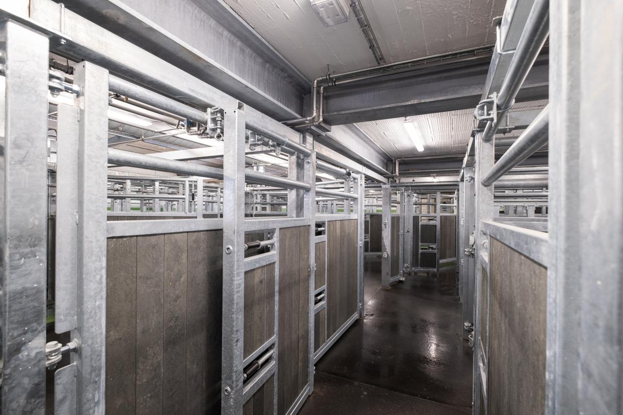 schlachthof-hinwil-1