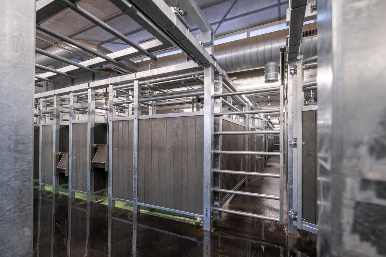 schlachthof-hinwil-3