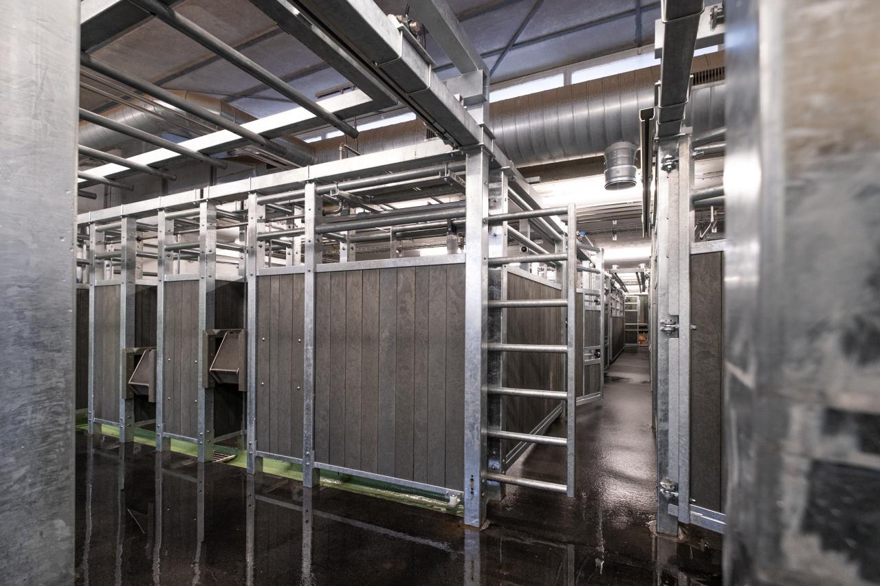 schlachthof-hinwil-4