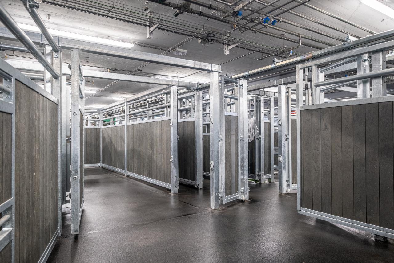 schlachthof-hinwil-6