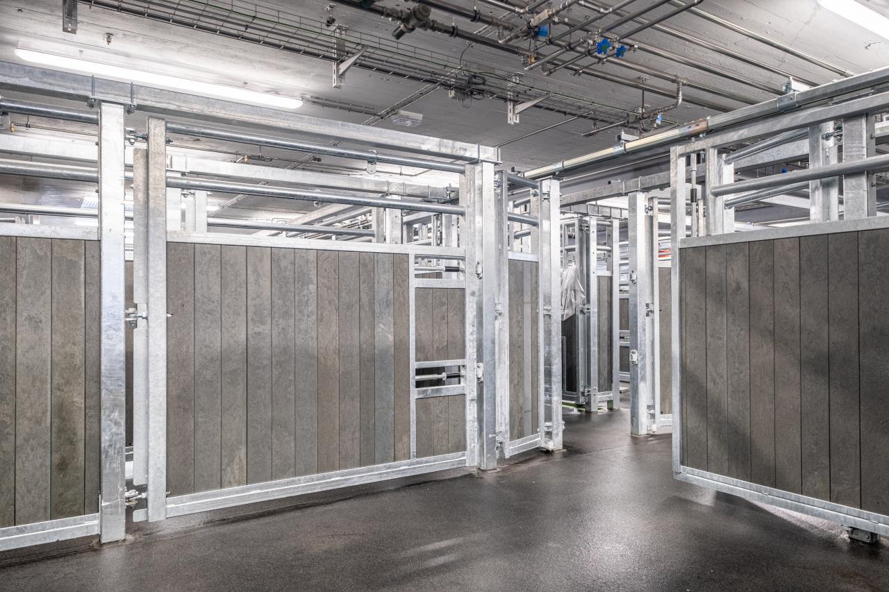 schlachthof-hinwil-7