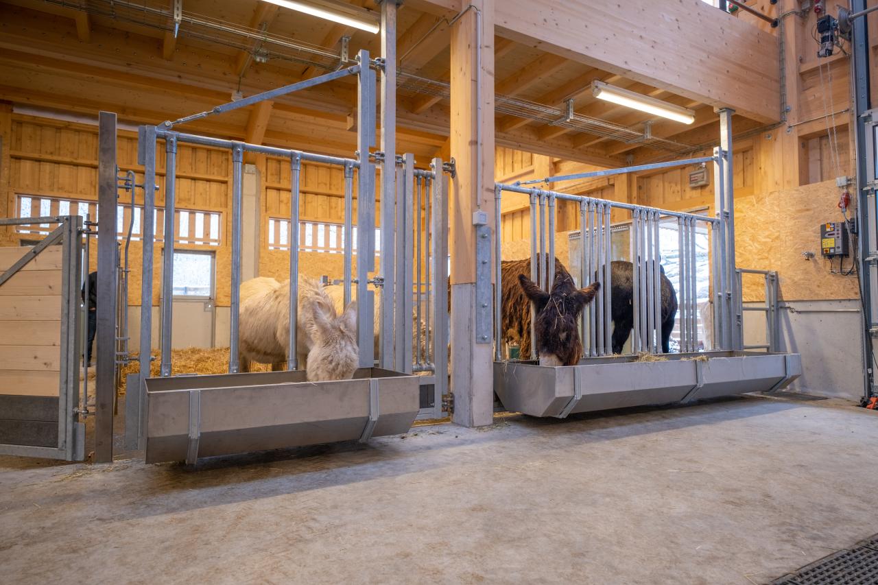 referenz-tierpark-goldau-1