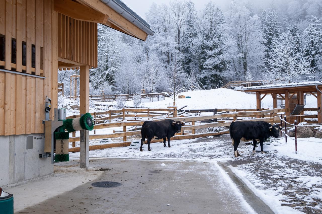 referenz-tierpark-goldau-7