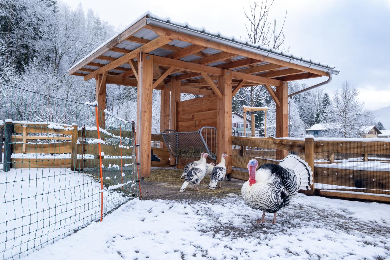 referenz-tierpark-goldau-8