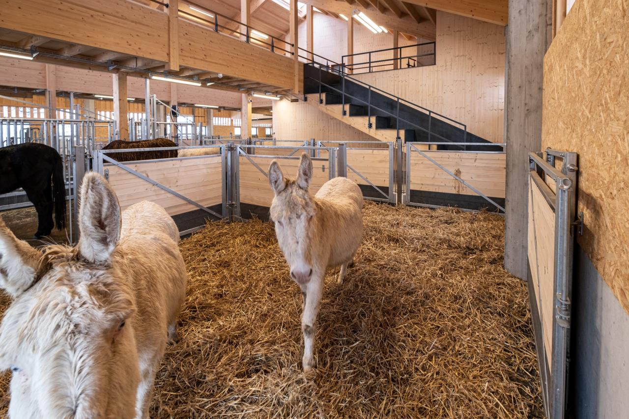 referenz-tierpark-goldau-12