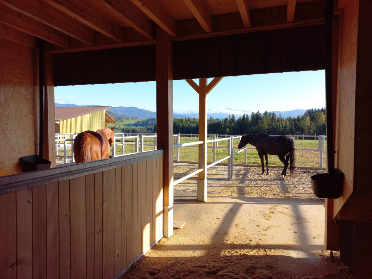 referenzobjekt-pferdestall-boxen-4