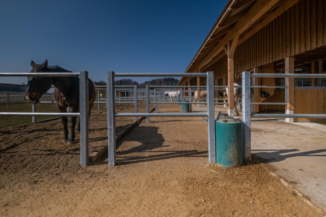 referenz-pferdestall-auslauf-personenschlupf