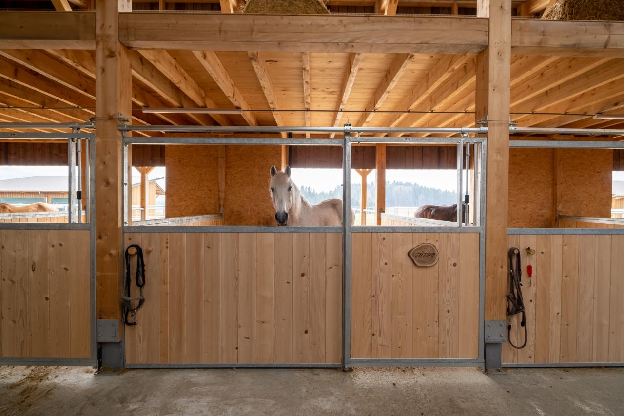 referenzobjekt-pferdestall-boxen-1