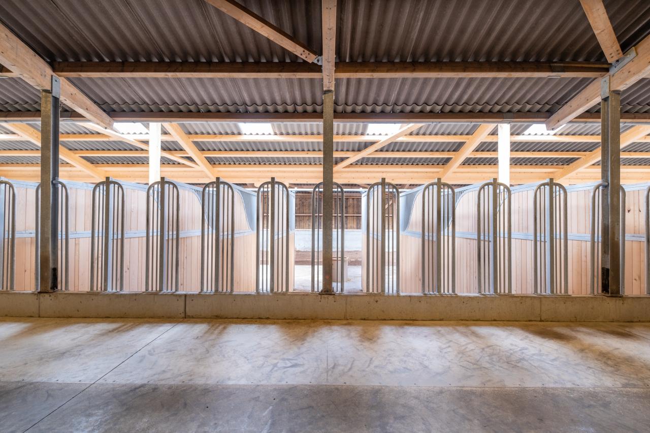 fresszaun-von-vorne-bm