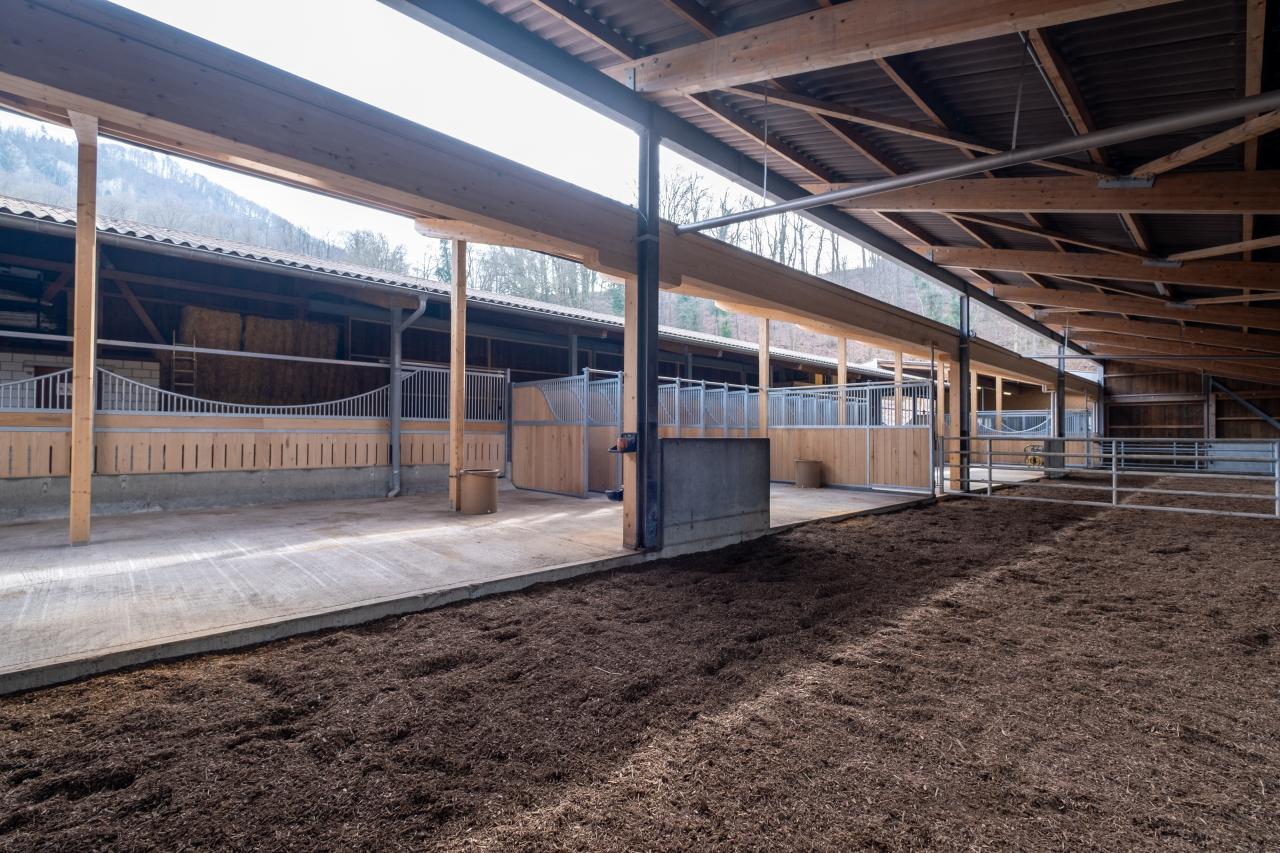 referenzstall-gruppenhaltung-mit-liegeflaeche