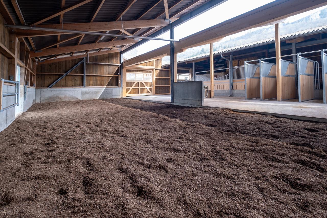 referenzstall-gruppenhaltung-mit-grosser-liegeflaeche