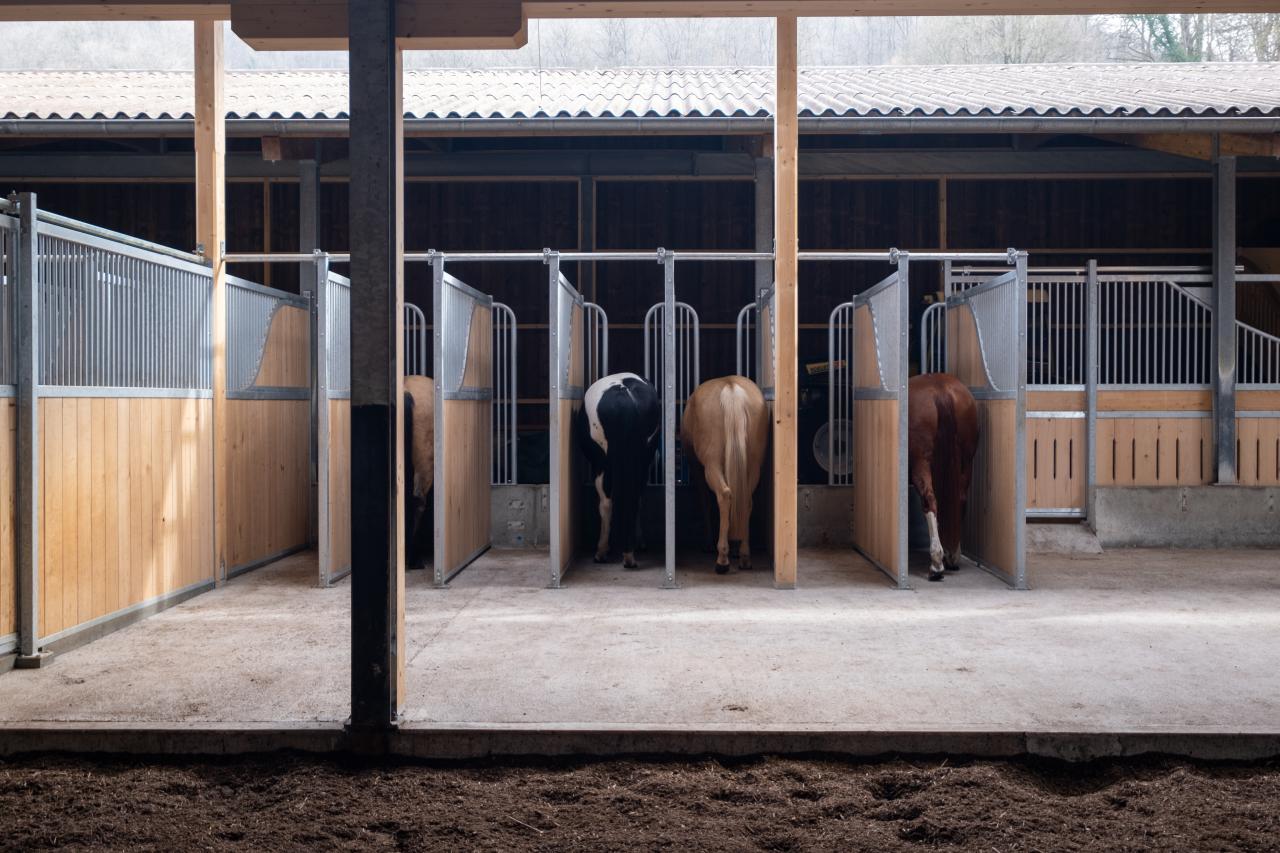 fresszaun-von-hinten