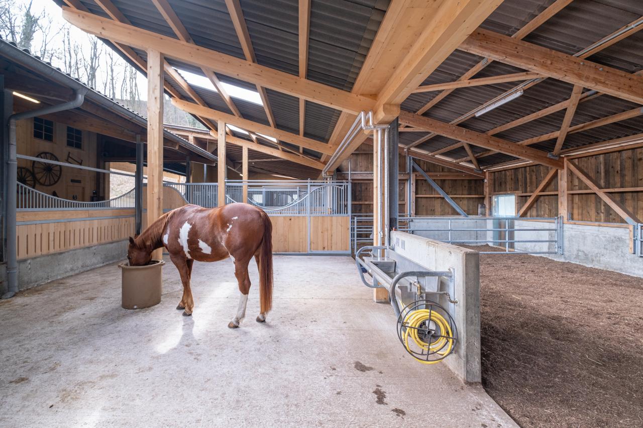 referenzstall-gruppenhaltung-bio-waldboden