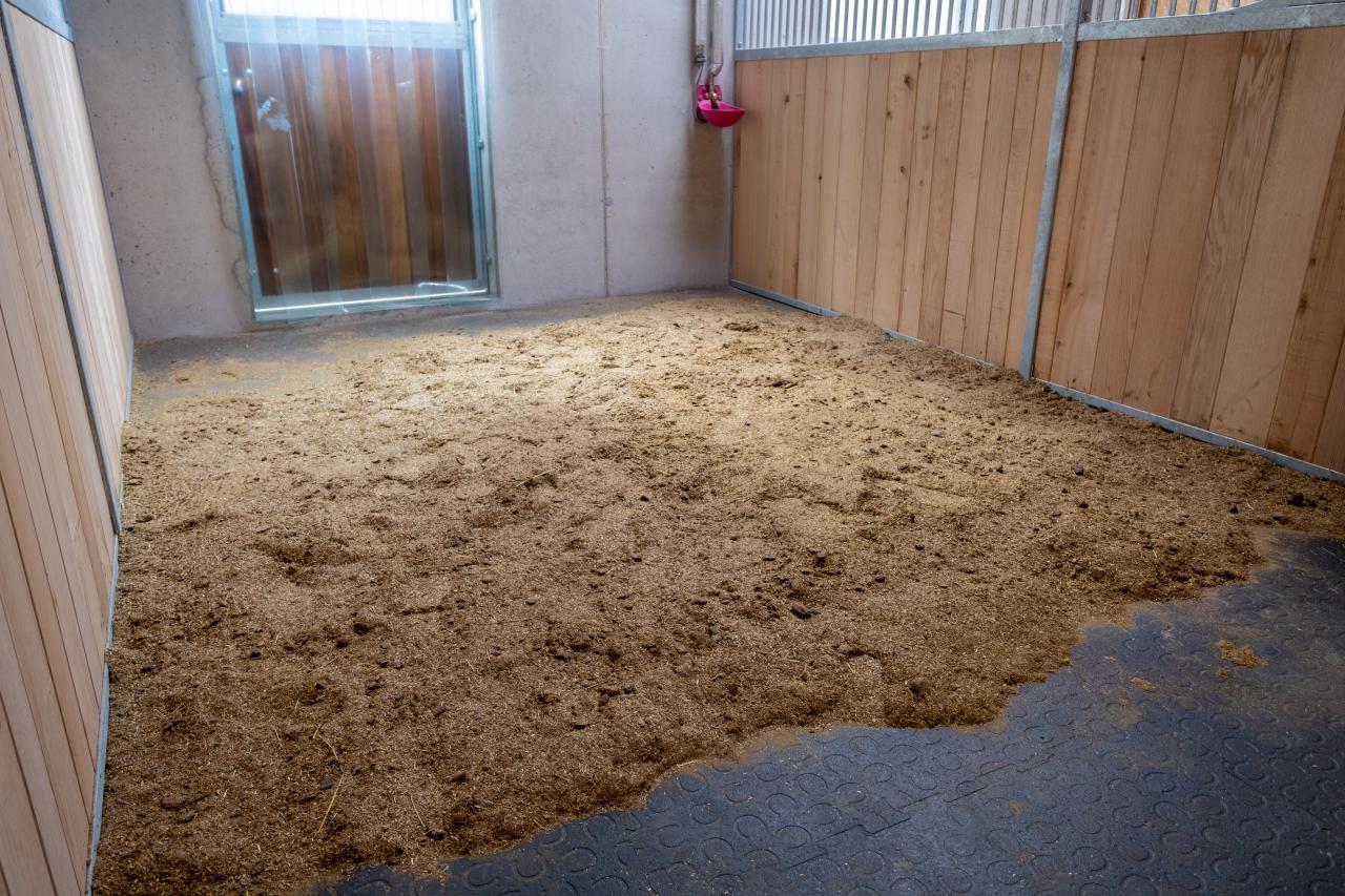 innenbox-referenzstall-duggingnen