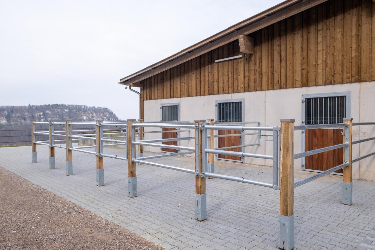 auslauf-der-einzelboxen