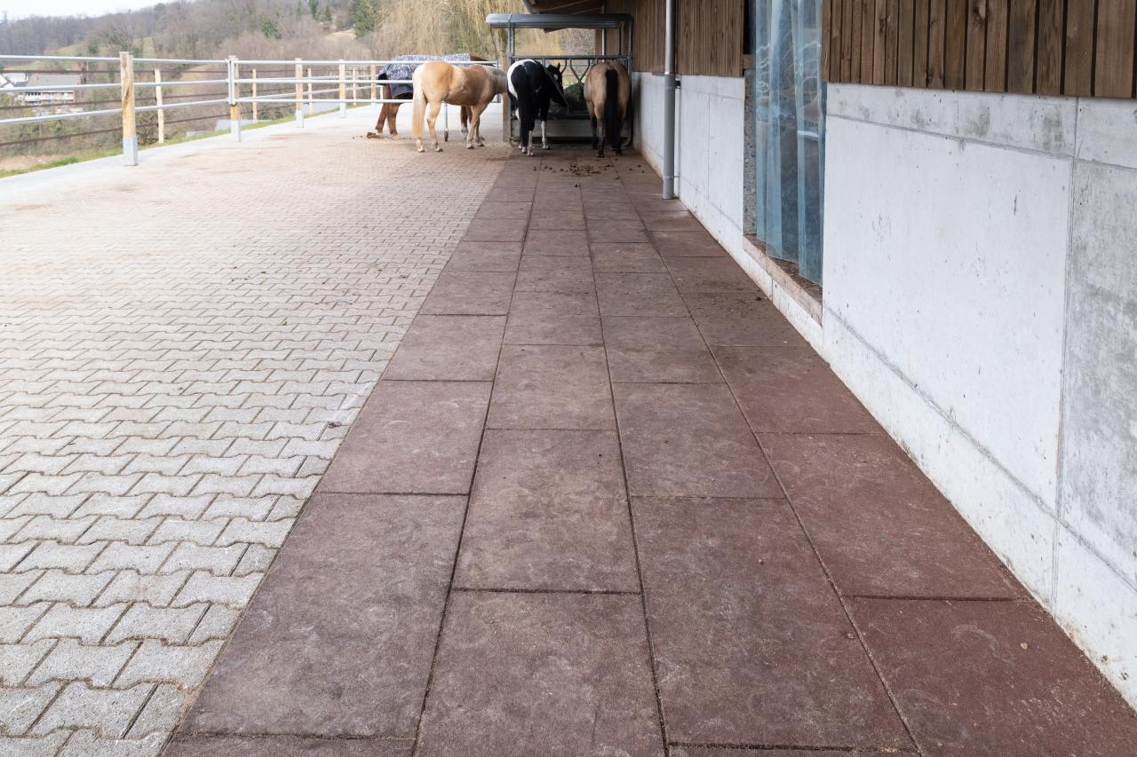 komfortex-in-gruppenstall