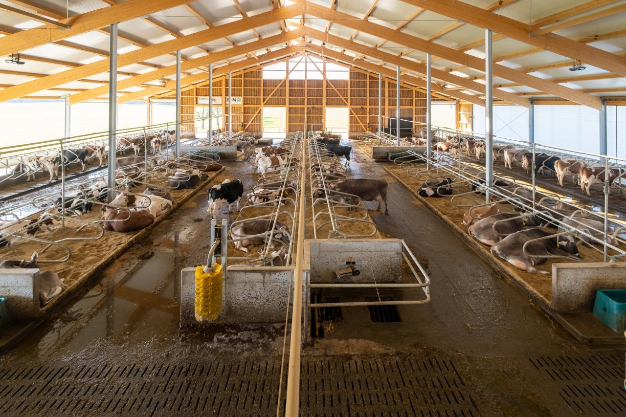 referenzobjekt-stallneubau-herrenhof-feedbox-bm