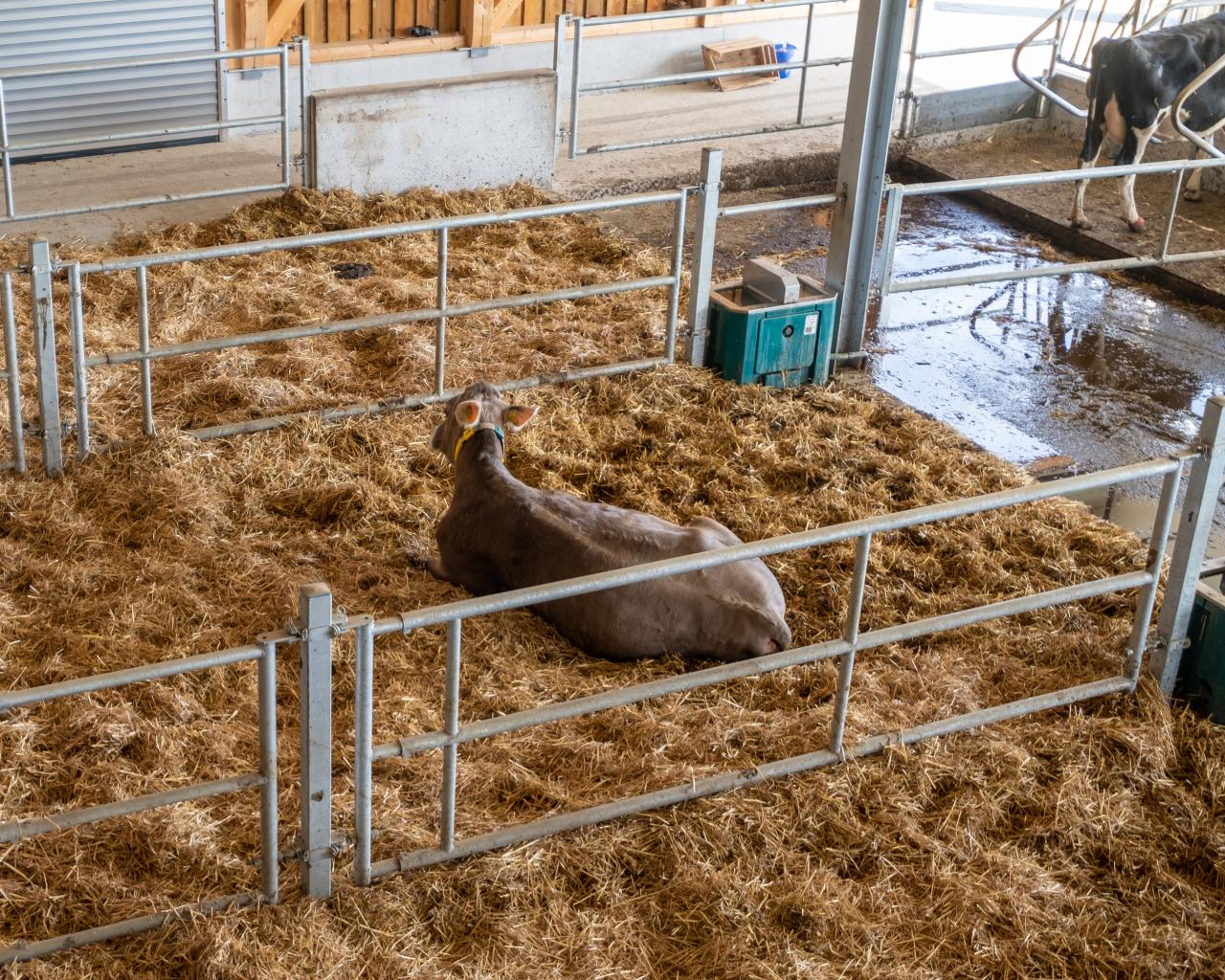 referenzbeitrag-herrenhof-separationsbox