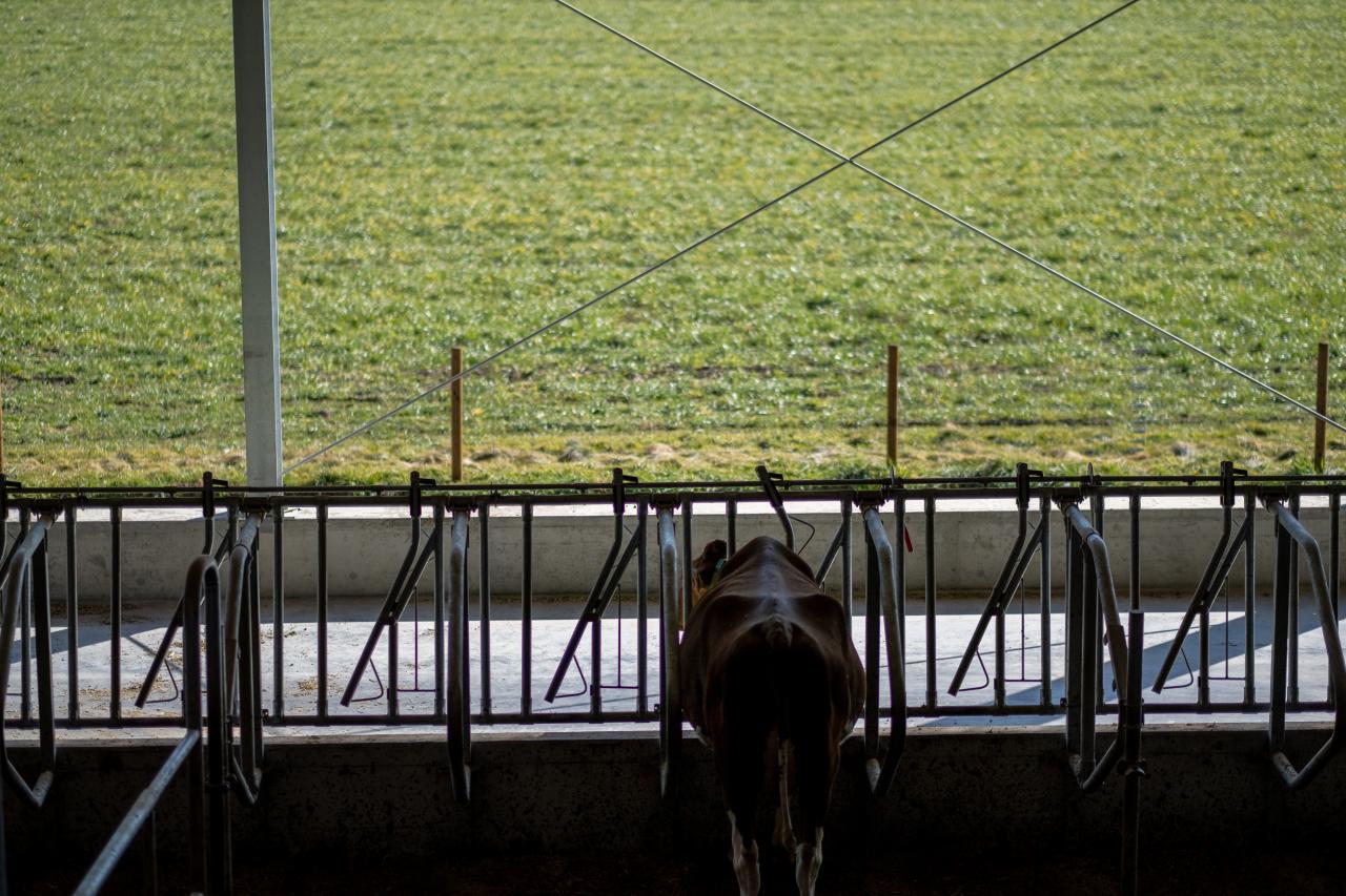 referenzobjekt-herrenhof-separationsbox-3