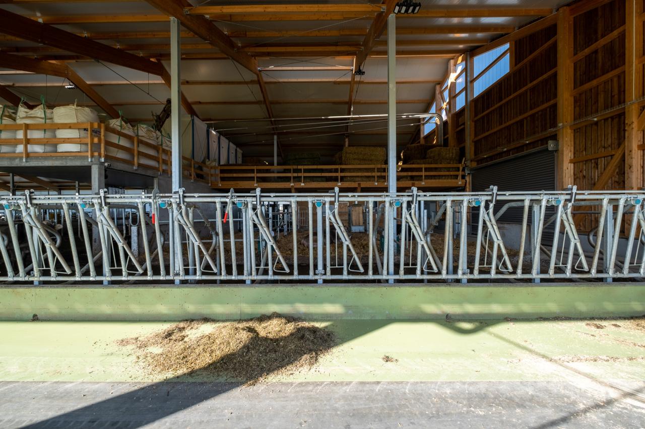 referenzobjekt-herrenhof-separationsbox-2