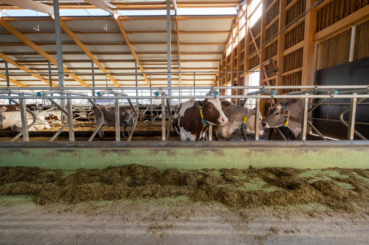 referenzobjekt-herrenhof-feedbox-3