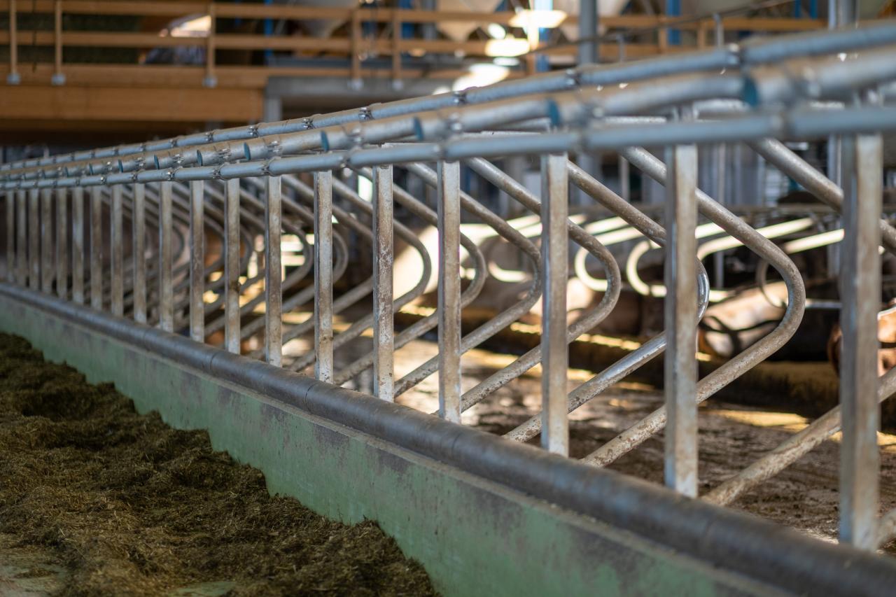 referenzobjekt-herrenhof-feedbox-4