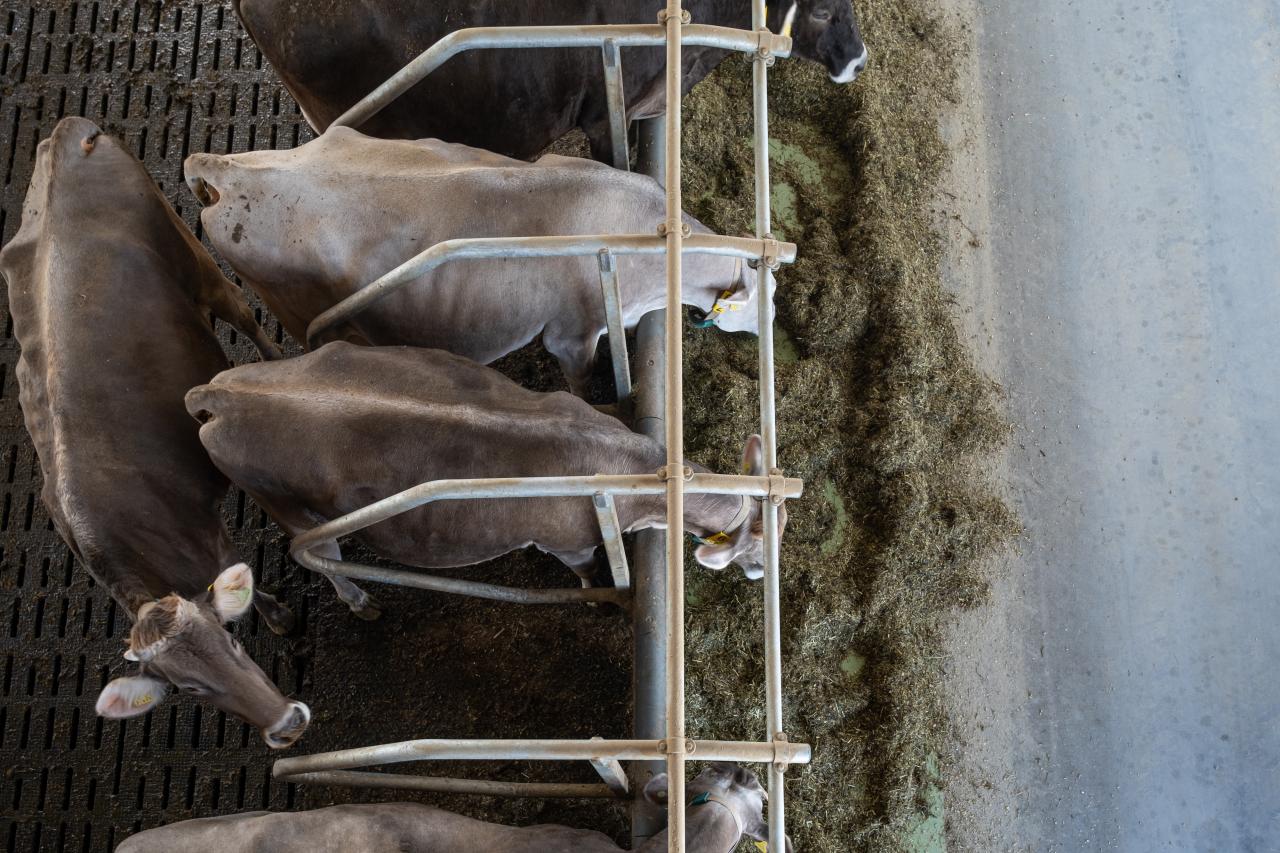 referenzobjekt-herrenhof-feedbox-2
