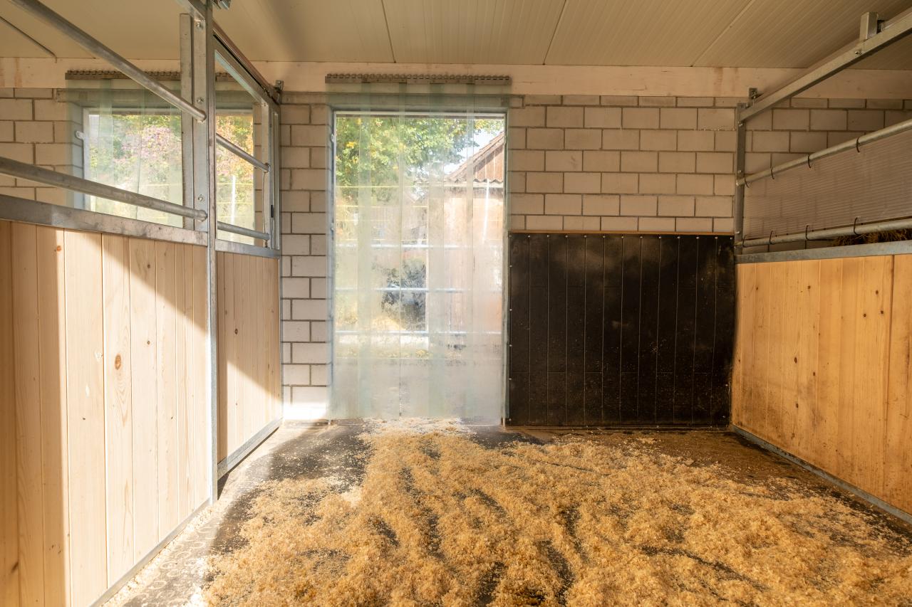 privatstall-fuer-zwei-Pferde-ostschweiz-4