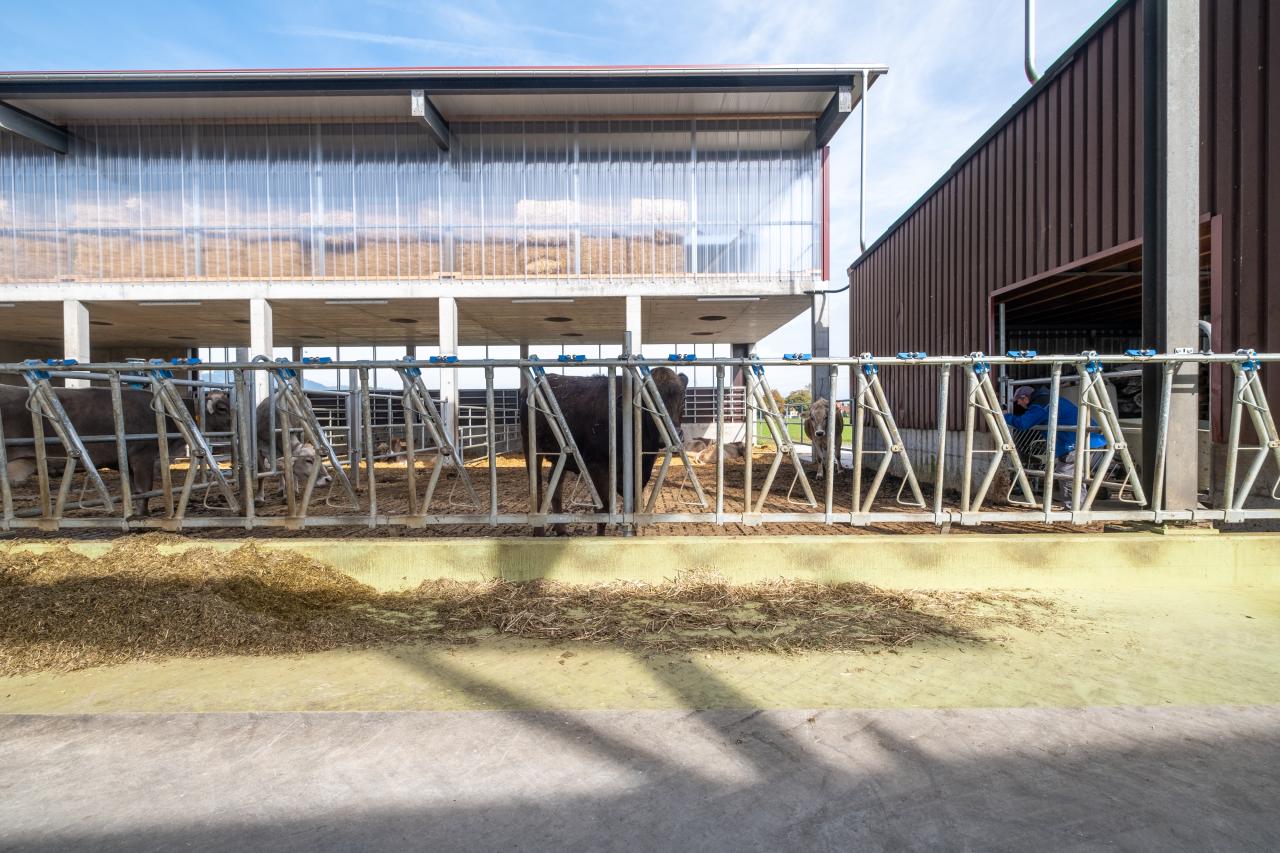 classic-fressgitter-in-oberriet-5