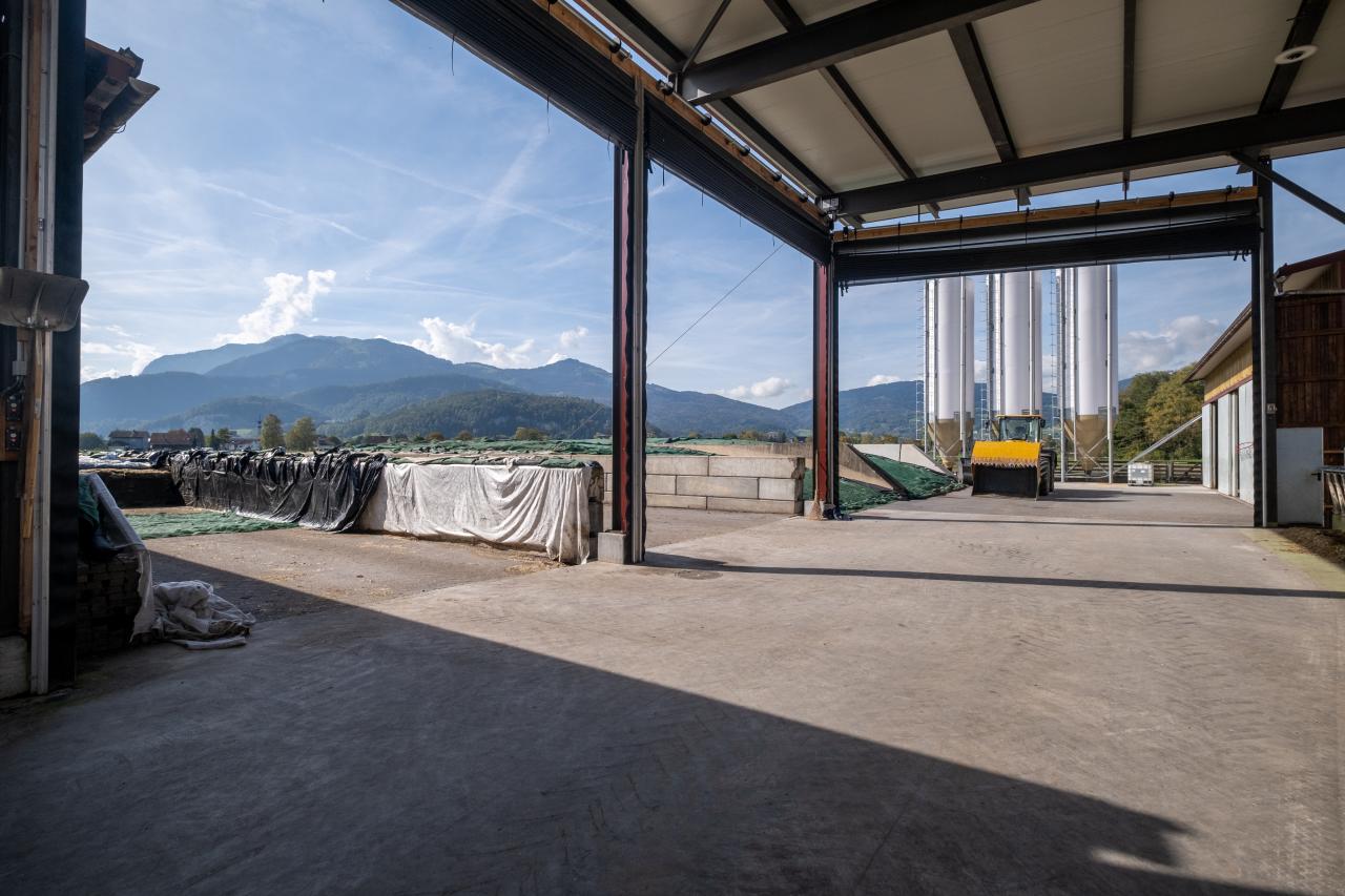 faltfronten-in-oberriet-2