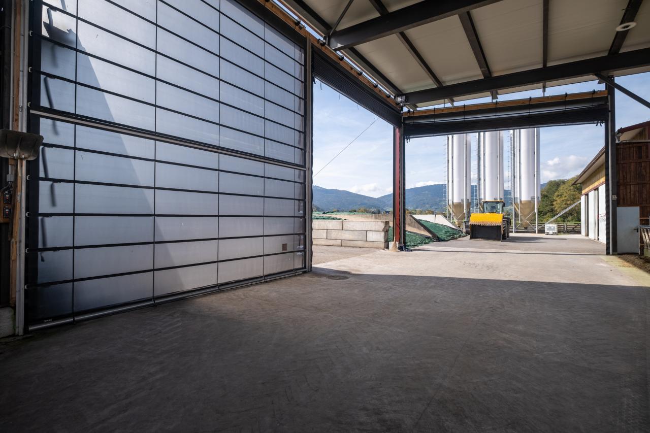 faltfronten-in-oberriet-3