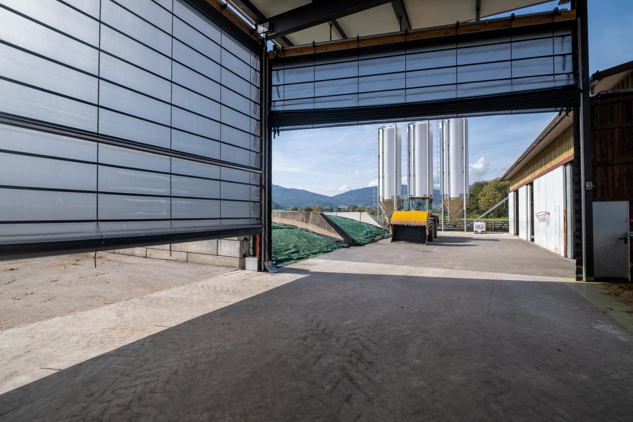 faltfronten-in-oberriet-4