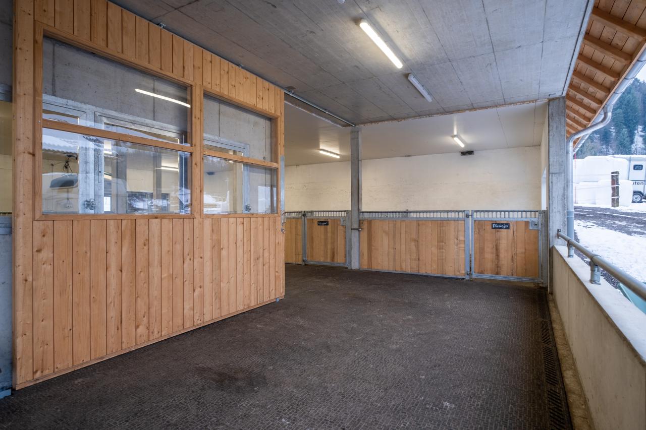 pferdestall-neubau-sozialkontakt-2