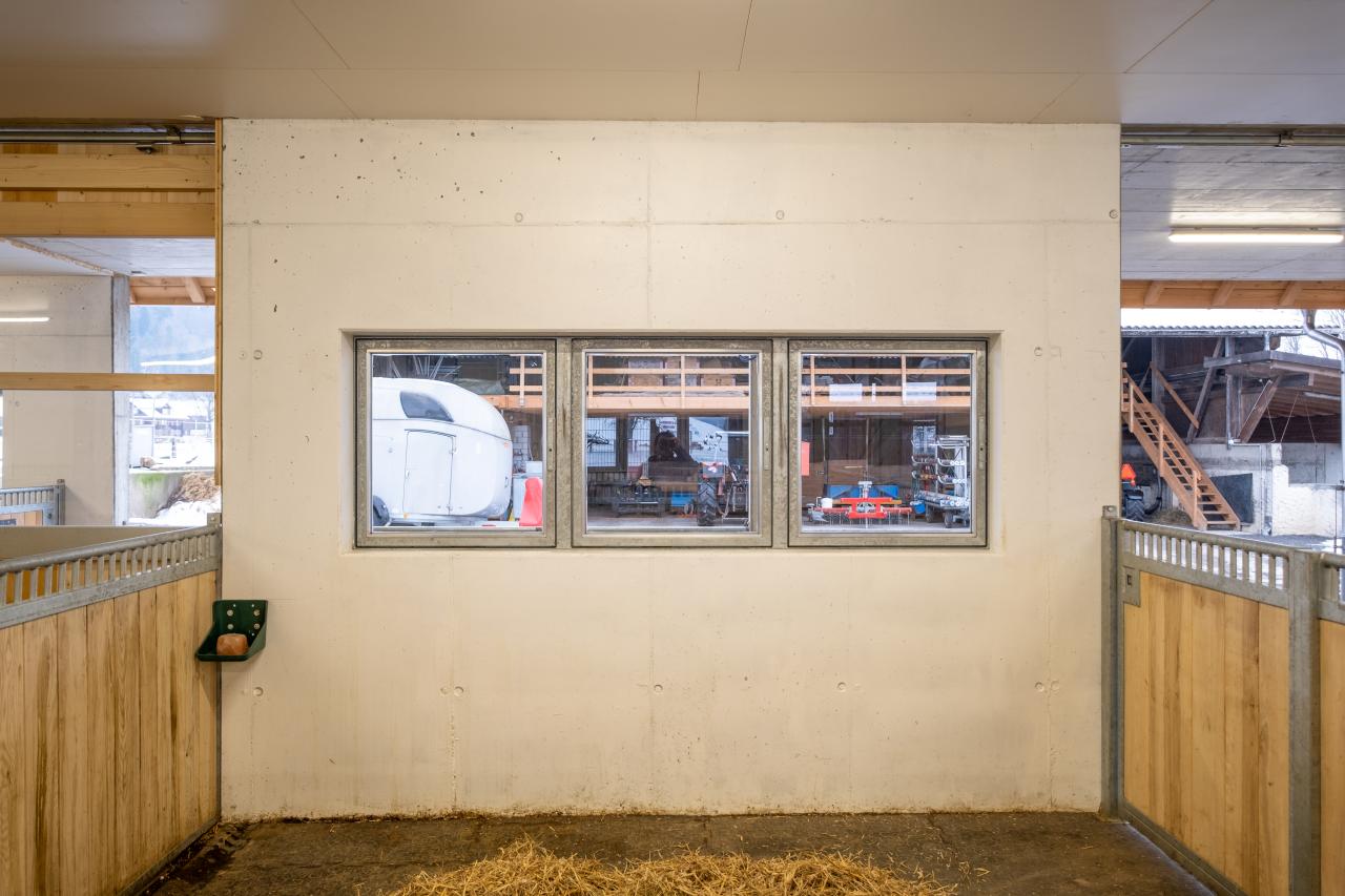 pferdestall-neubau-sozialkontakt-4