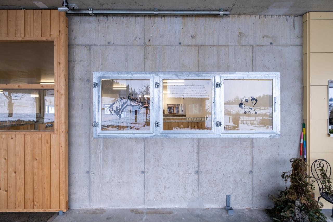 pferdestall-neubau-sozialkontakt-6