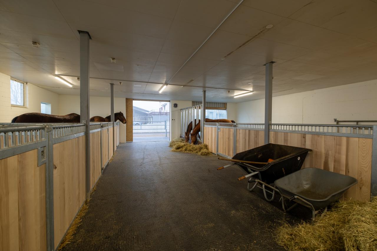 flexibels-pferdehaltungssystem-gruppen-oder-einzelhaltung-4