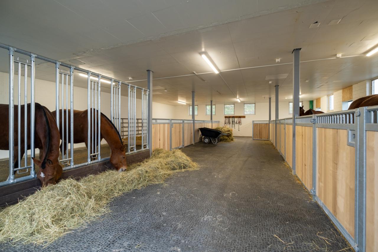 flexibels-pferdehaltungssystem-gruppen-oder-einzelhaltung-3